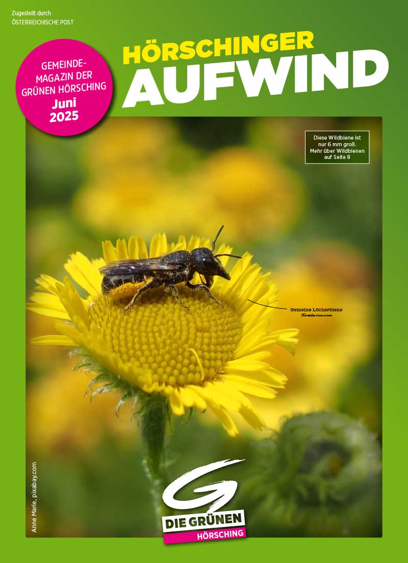 2025 Aufwind 1